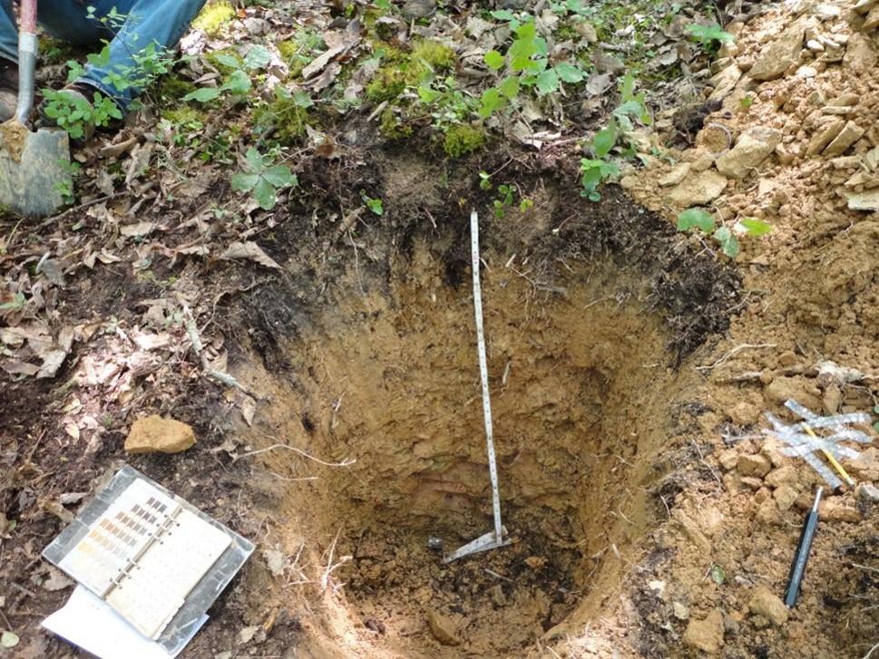 Soil Pit Analysis and Testing